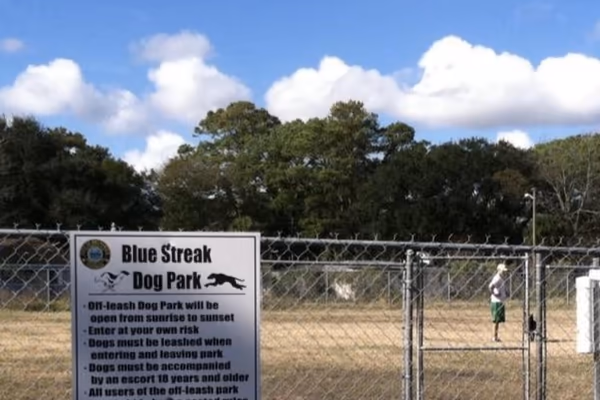 Blue Streak Dog Park
